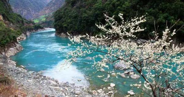 麦克斯：兄弟魔咒
